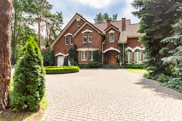 Best Driveway Paving Contractor  in Red Lake, MN